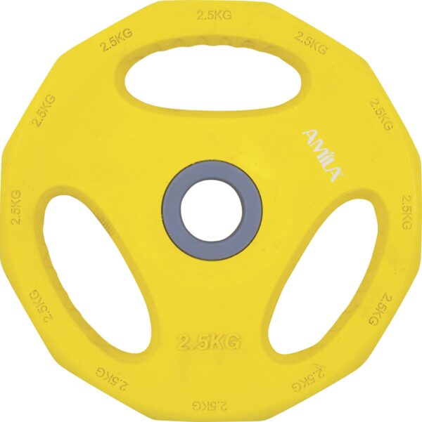 AMILA Δίσκος AMILA Pump Rubber Φ30 2,50Kg 84516