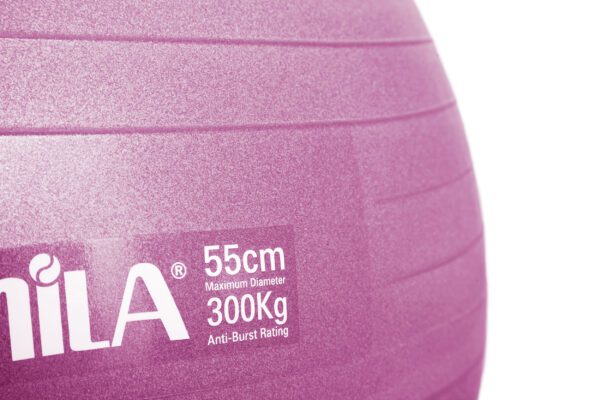 AMILA Μπάλα Γυμναστικής AMILA GYMBALL 55cm Ροζ 95827 - Image 2