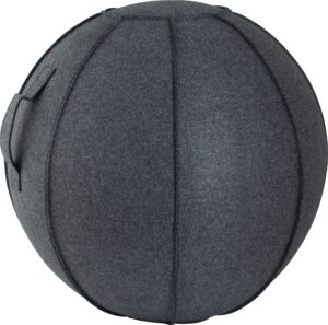 AMILA Κάλυμμα για Μπάλα Γυμναστικής AMILA GYMBALL 75cm 95887