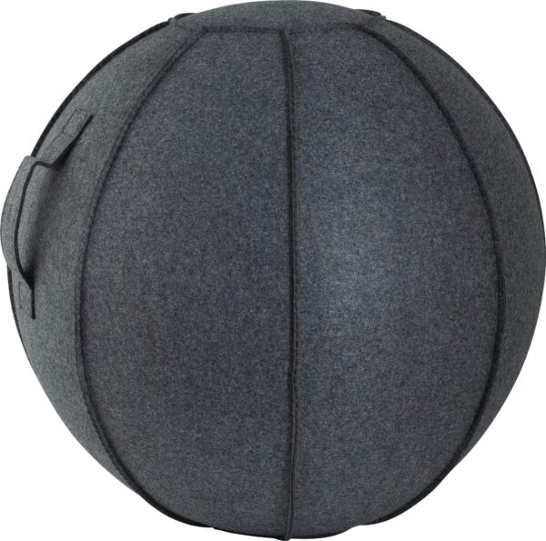 AMILA Κάλυμμα για Μπάλα Γυμναστικής AMILA GYMBALL 75cm 95887