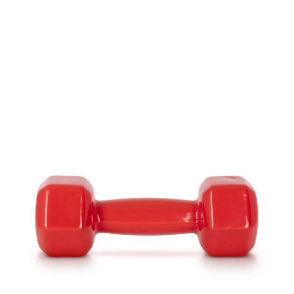 AMILA AMILA Vinyl Dumbbell 3Kg 44493 - Image 2