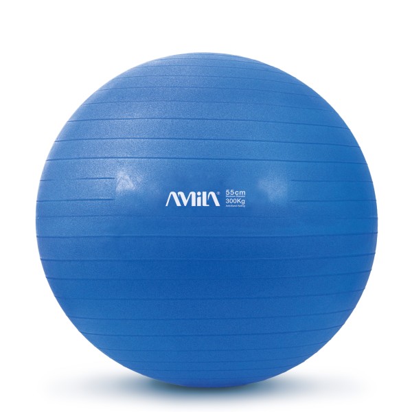 AMILA Μπάλα Γυμναστικής (Bulk) 55cm - Μπλε 48437