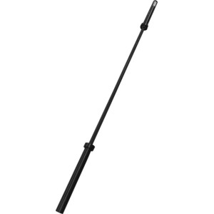 AMILA Ολυμπιακή Μπάρα 220cm 20Kg 1500LBS 8 Ρουλεμάν Κεραμική Επίστρωση 80044