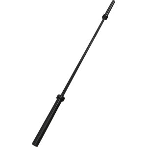 AMILA Ολυμπιακή Μπάρα 220cm 20Kg 1500LBS 8 Ρουλεμάν Κεραμική Επίστρωση 80049