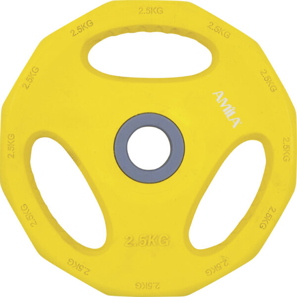 AMILA Δίσκος AMILA Pump Rubber Φ30 2,50Kg 84516 - Image 2