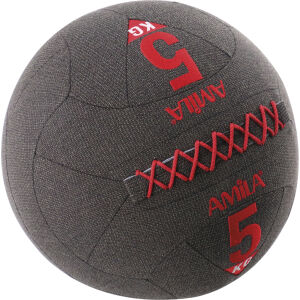 AMILA AMILA Wall Ball Kevlar Series 5Kg 94611